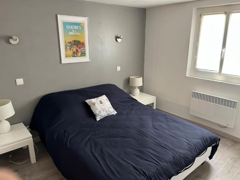 Bas De Villa 70M2 Independant Avec Espace Jacuzzi Prive Le Lavandou Bagian luar foto